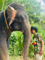 /album/fotogaleria-sri-lanka-maldivy-zajazd-vy-a-my/sri-lanka-maldivy-zajazd-212-jpg1/
